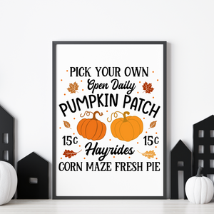 Pick your own Pumpkin patch Blue From Heaven