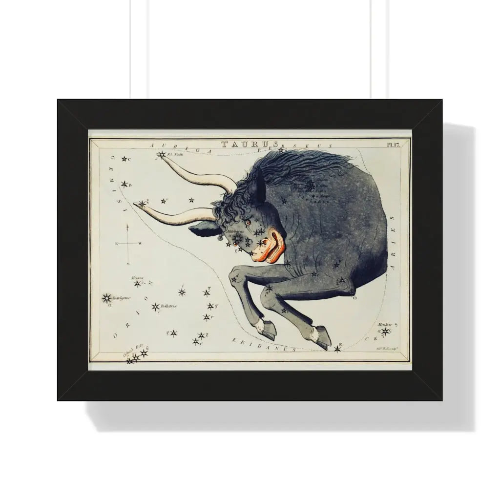 Taurus Zodiac Sign Constellation Printify