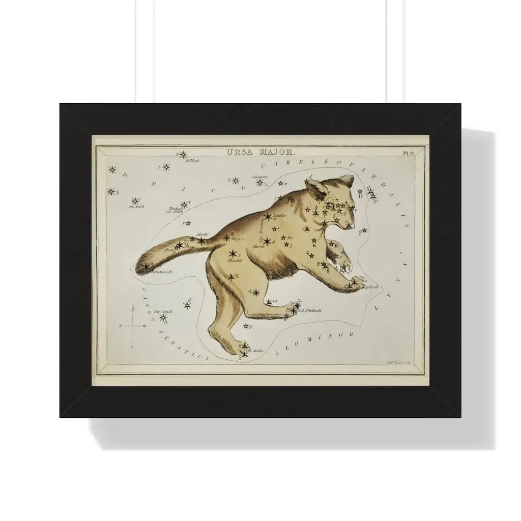 Ursa Major Constellation Printify