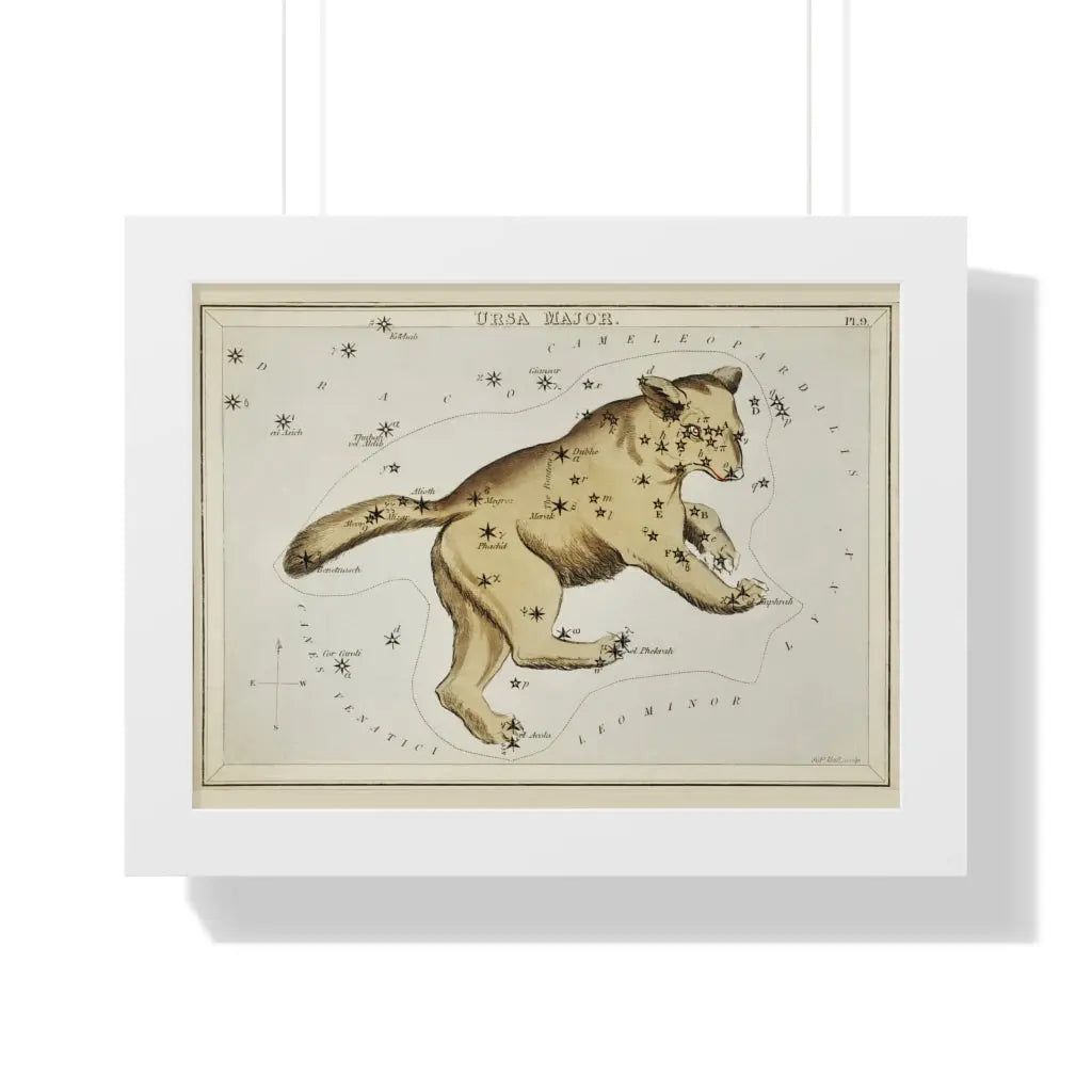 Ursa Major Constellation Printify