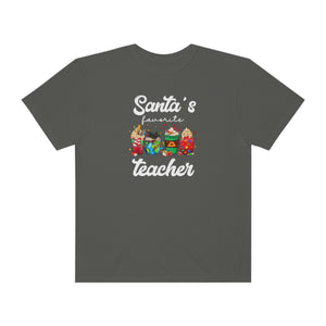 Santa's Favorite Teacher Printify